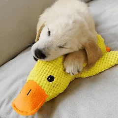 SwiftNexus™ Calming Duck Dog Toy
